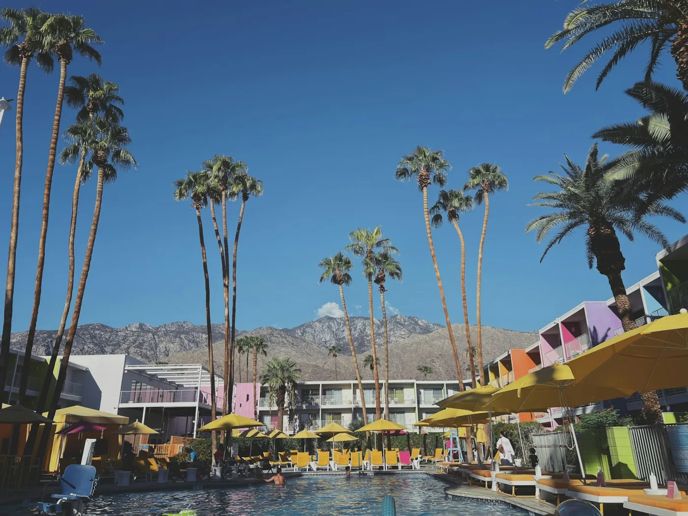 Palm Springs pool with palm trees and resort landscaping on a sunny afternoon, perfect for a bachelorette party weekend