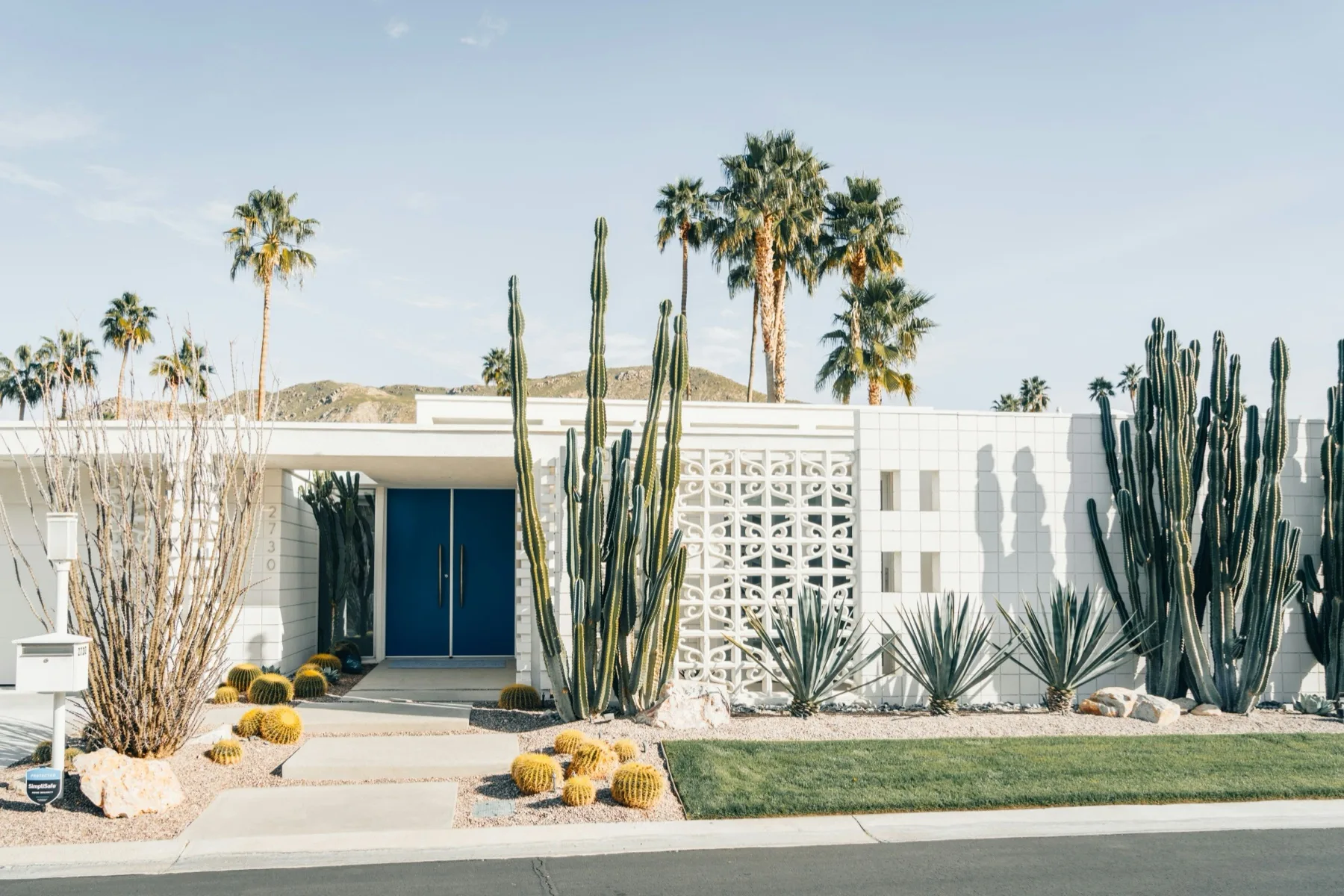 Colorful Palm Springs door with cacti in foreground, iconic desert aesthetic for dog-friendly travel