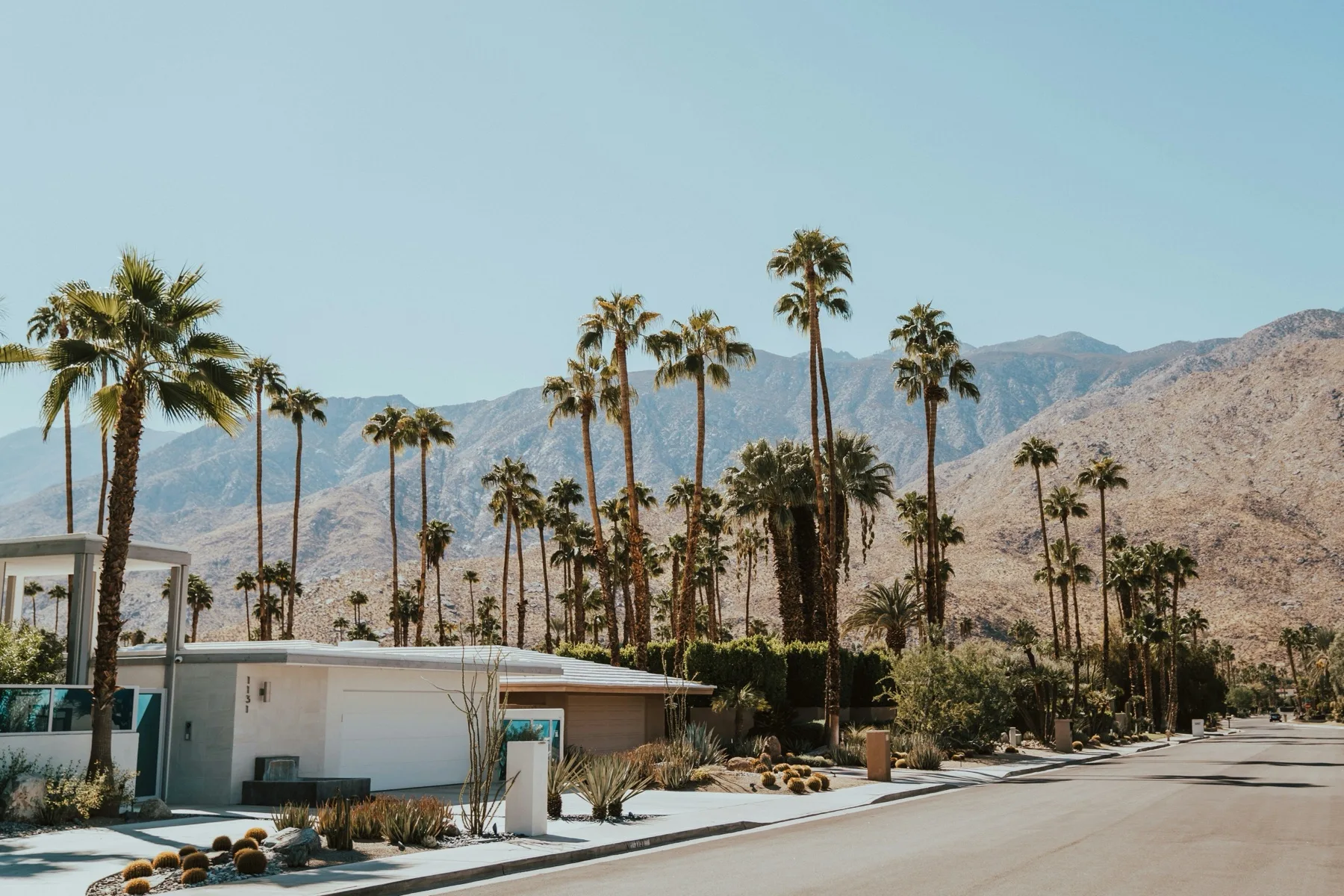 Palm Springs midcentury modern neighborhood with flat-roof homes and desert landscaping