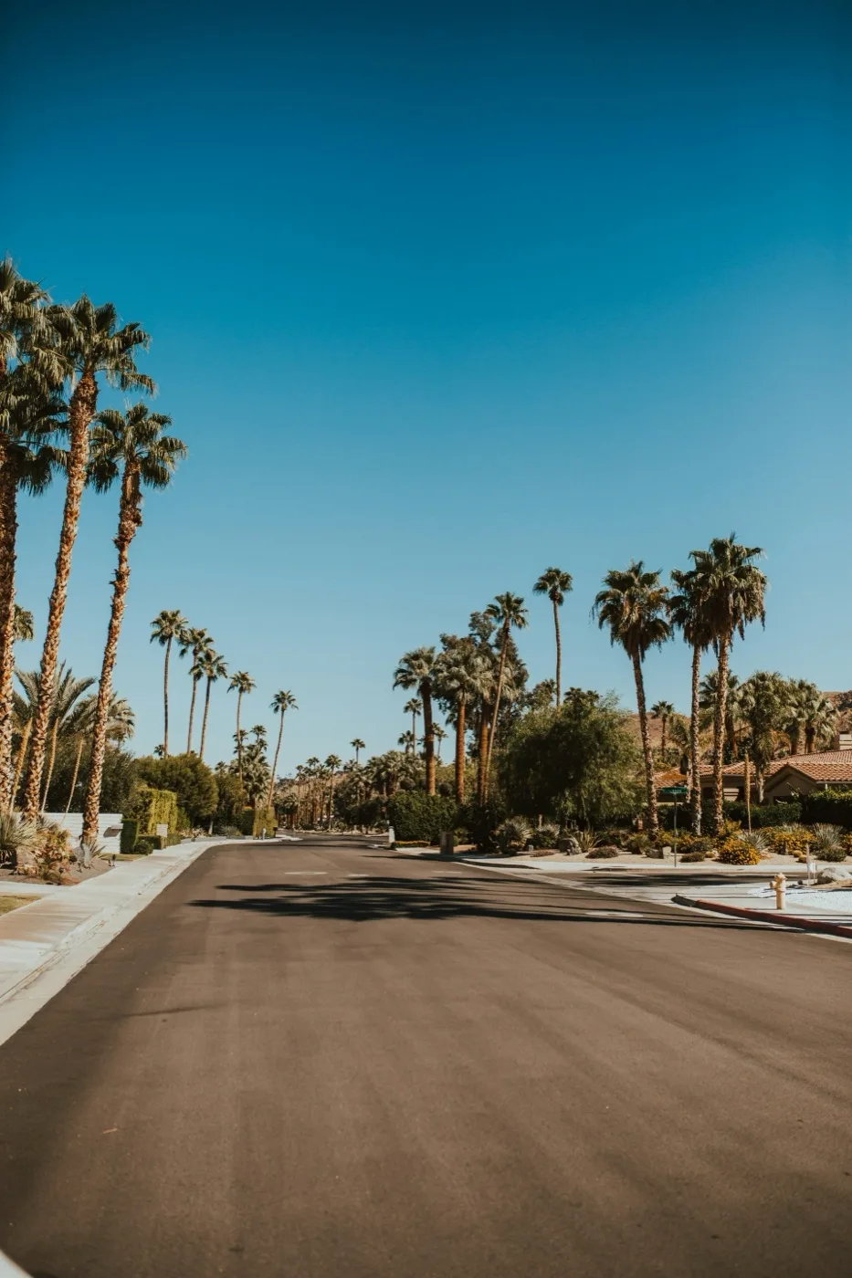 Palm Canyon Drive in Palm Springs under a bright blue sky with palm trees lining the street
