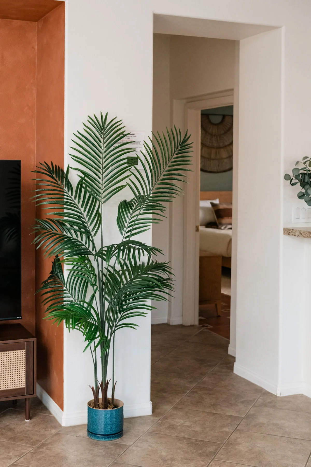 Terra Luz living room fan palm in blue ceramic pot beside walnut TV credenza with hallway to bedroom beyond