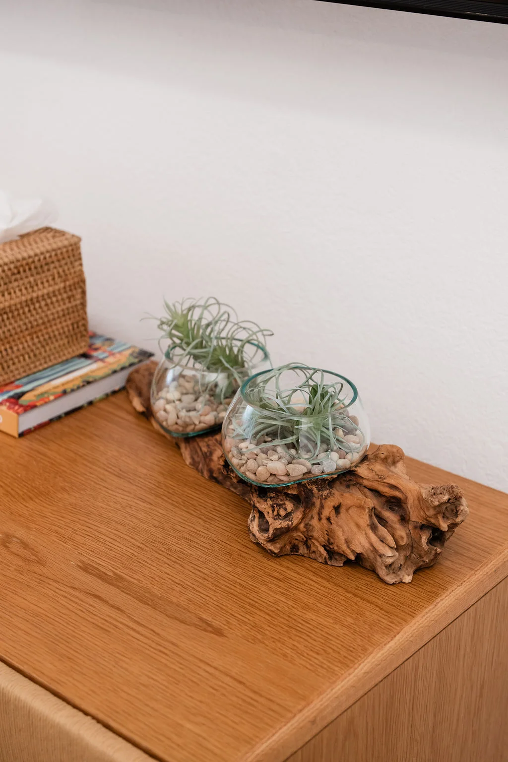 The Sundune Palm Springs primary bedroom dresser with air plants on burl wood and travel books